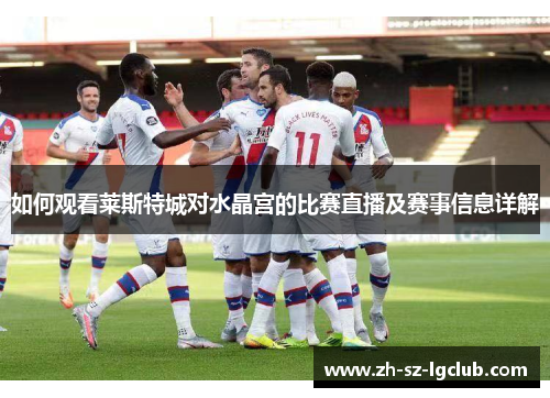 如何观看莱斯特城对水晶宫的比赛直播及赛事信息详解