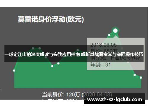 一球定江山的深度解读与实践应用指南 解析其战略意义与实际操作技巧