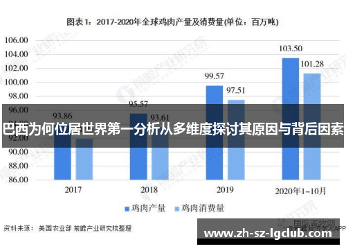 巴西为何位居世界第一分析从多维度探讨其原因与背后因素