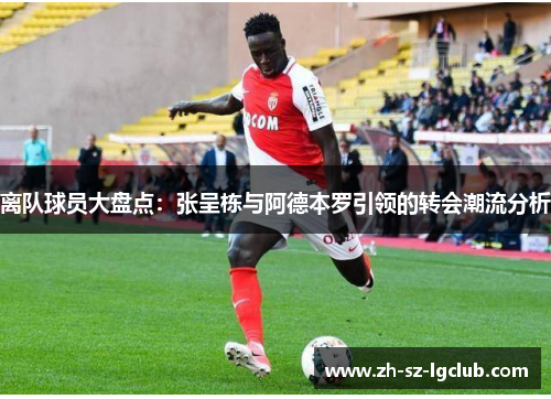 离队球员大盘点：张呈栋与阿德本罗引领的转会潮流分析