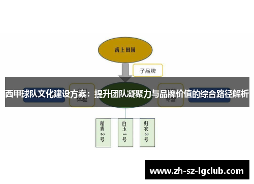 西甲球队文化建设方案：提升团队凝聚力与品牌价值的综合路径解析